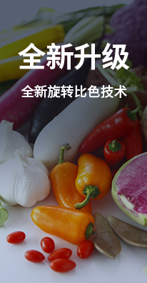 食品添加劑檢測儀