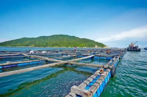 海淼水產(chǎn)進出口有限公司引進我司水產(chǎn)品質量檢測儀