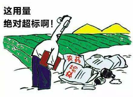 果蔬農(nóng)藥殘留檢測(cè)儀 果蔬農(nóng)藥殘留檢測(cè)儀