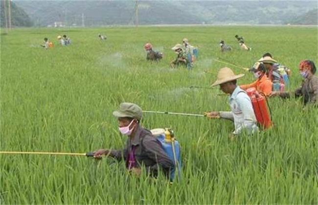 農藥殘留速測儀 農藥殘留速測儀