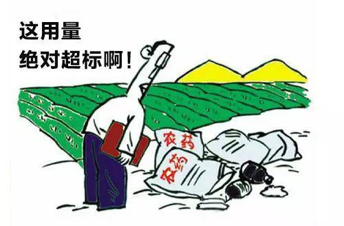 農藥殘留速測儀 農藥殘留速測儀