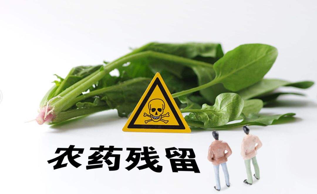 農(nóng)藥殘留速測儀 農(nóng)藥殘留速測儀
