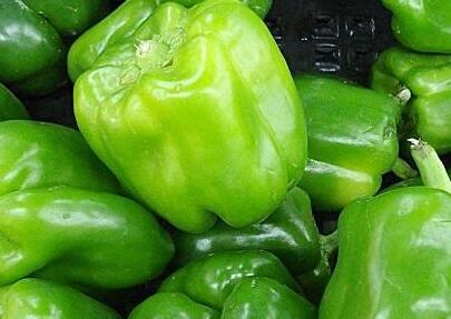 農藥殘留檢測儀 農藥殘留檢測儀