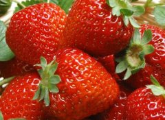 農殘快速檢測儀讓消費者吃的更安心