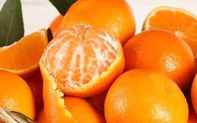 食品安全檢測儀 食品安全檢測儀