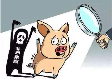 非洲豬瘟檢測儀 非洲豬瘟檢測儀